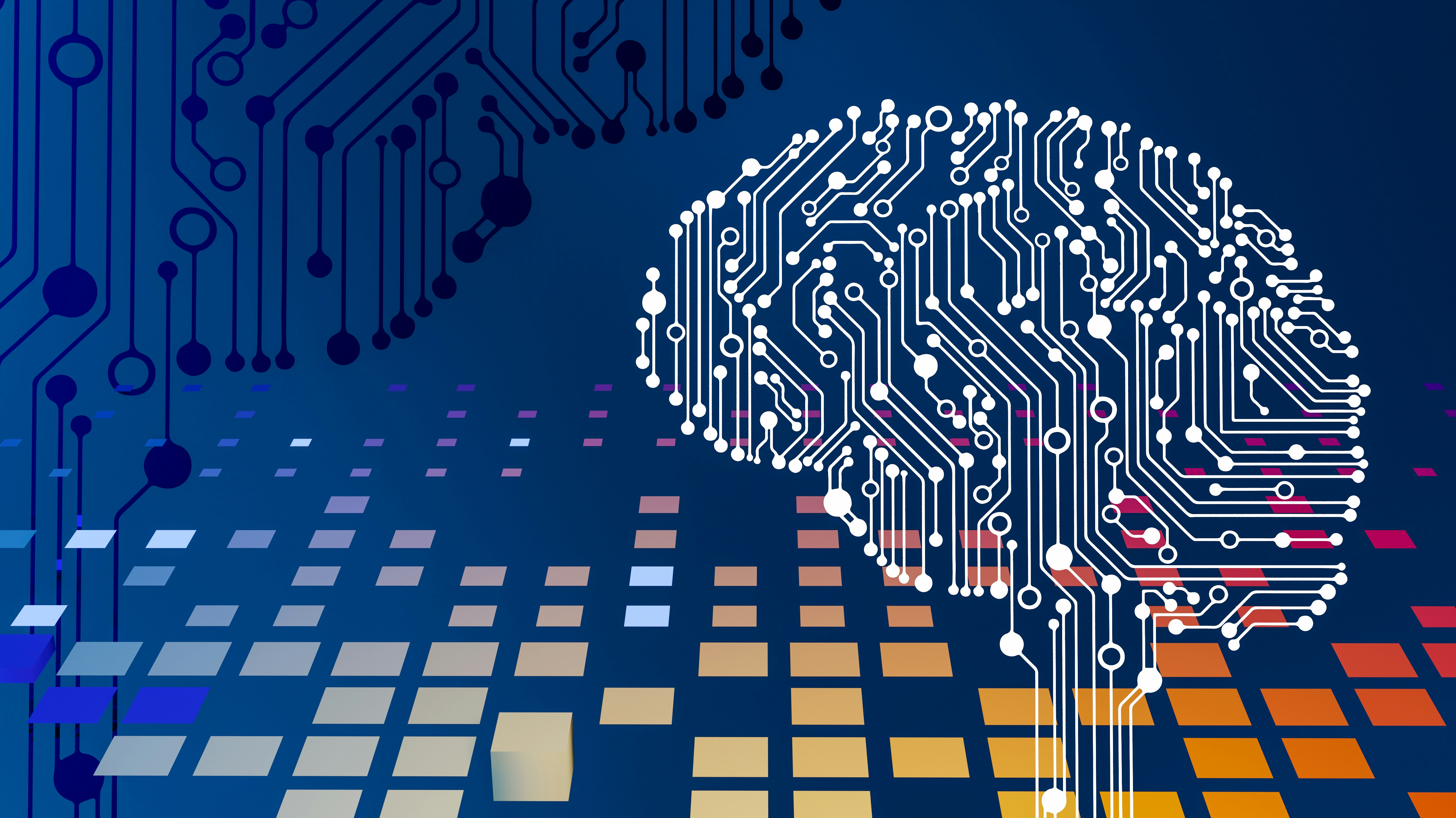 Top 5 High-Demand IT Skills in 2026: How to Grow Your Career